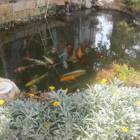 Villa Polyxenia Isaak Dafni Protaras